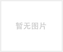 东鳐动力 3kw小型省油汽油发电机 上海工厂直接发货